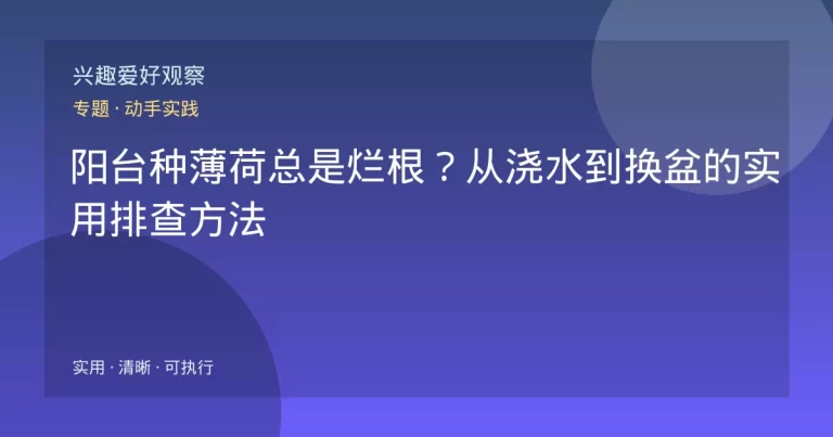 阳台种薄荷总是烂根？从浇水到换盆的实用排查方法
