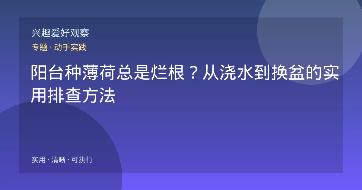 阳台种薄荷总是烂根?从浇水到换盆的实用排查方法